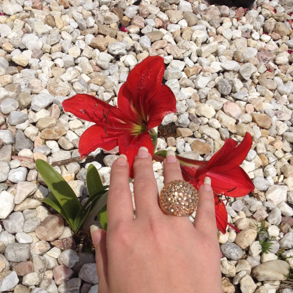 Host Picknwt Statement Ring